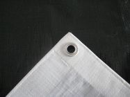 Plastic Coated PE Tarpaulin Roll With Eyelet , Vehicle Tarpaulin Covers 